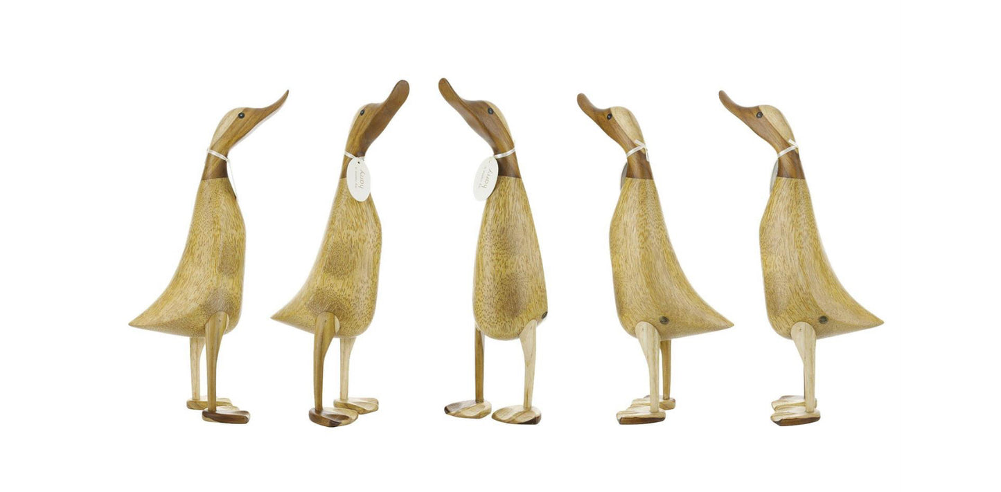 DCUK Natural Ducklets
