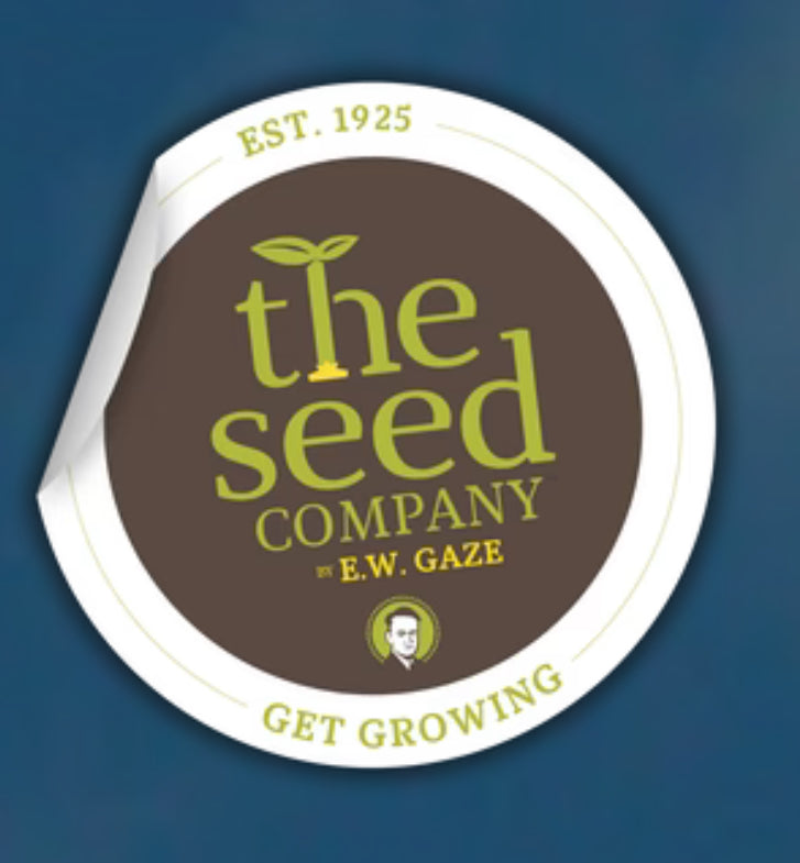 Gaze Best Selling Seeds