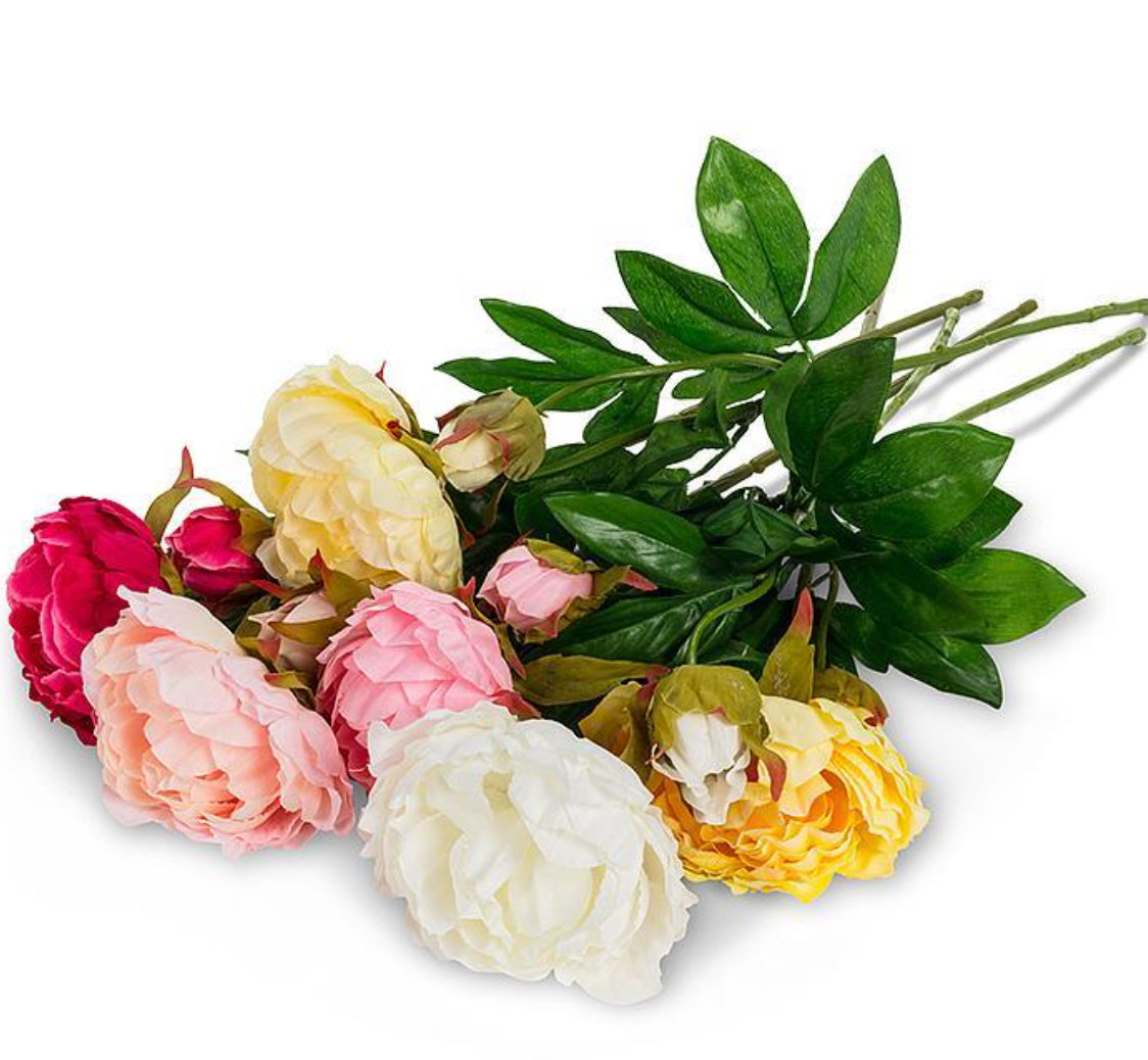 Double Bloom Peony Stem ASST