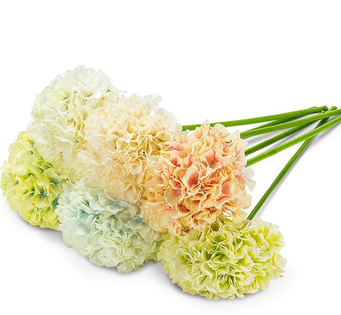 Large Hydrangea Stem ASST
