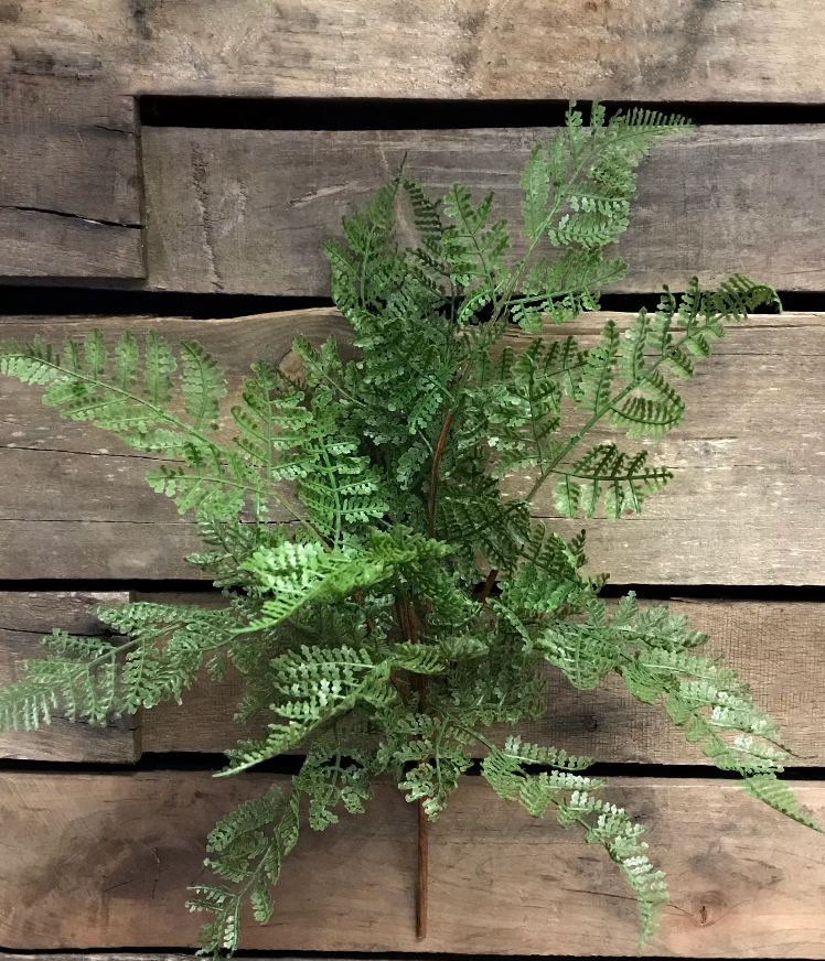 17" Fresh Touch Lace Fern Bush