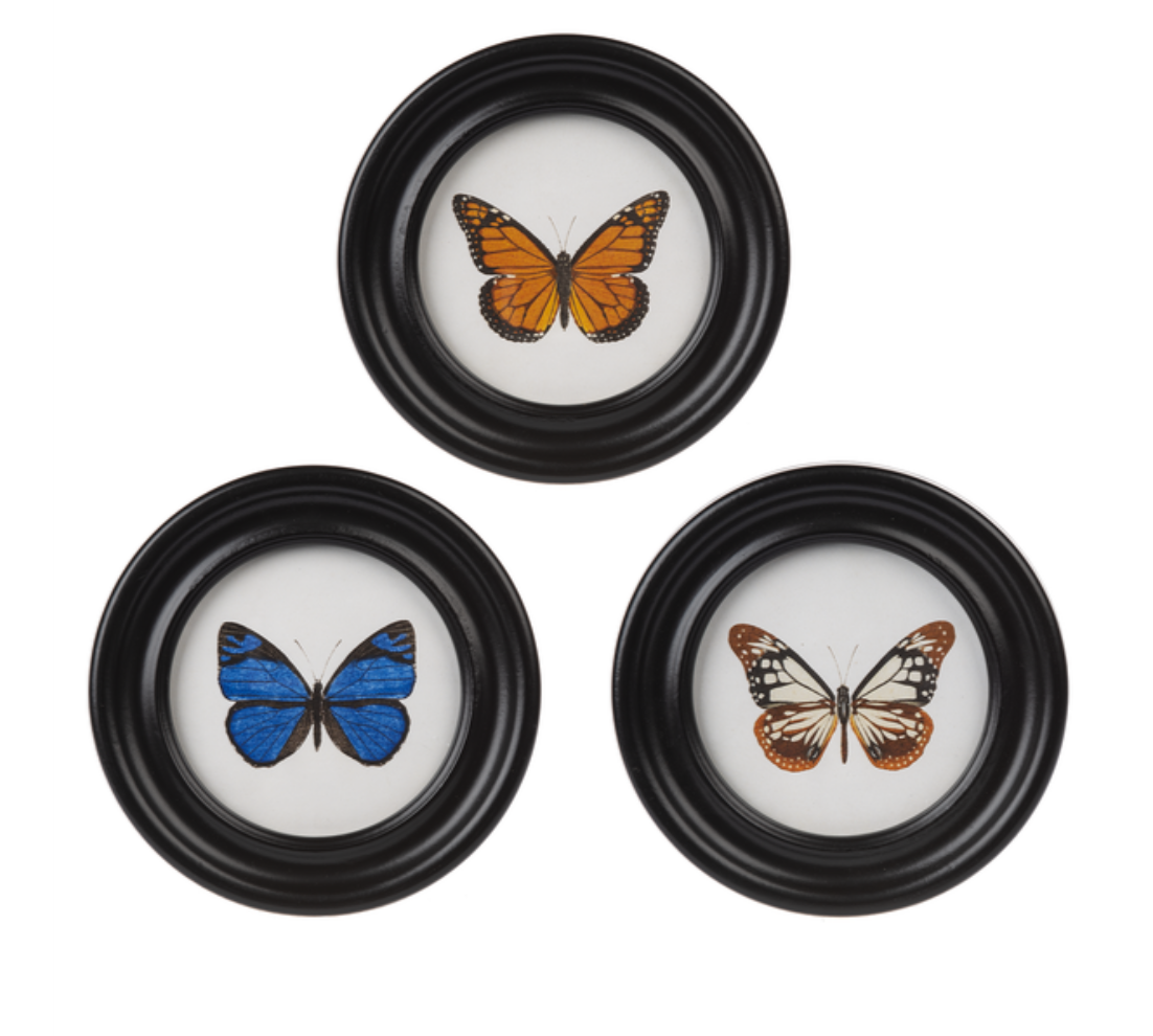 Round Framed Butterfly Wall Decor