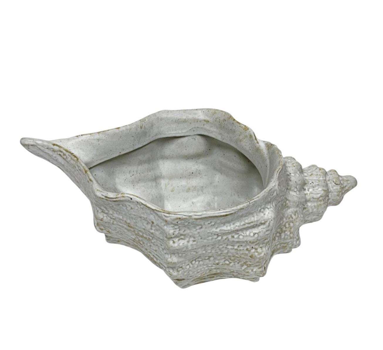 Ceramic Seashell Dish