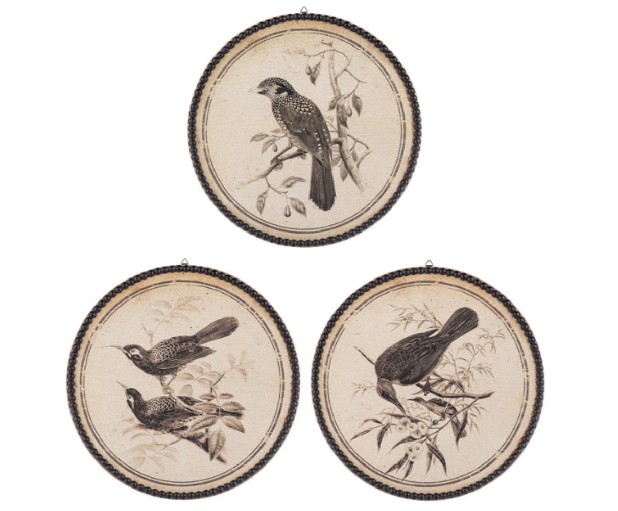 Round Bird Pen & Ink Wall Decor