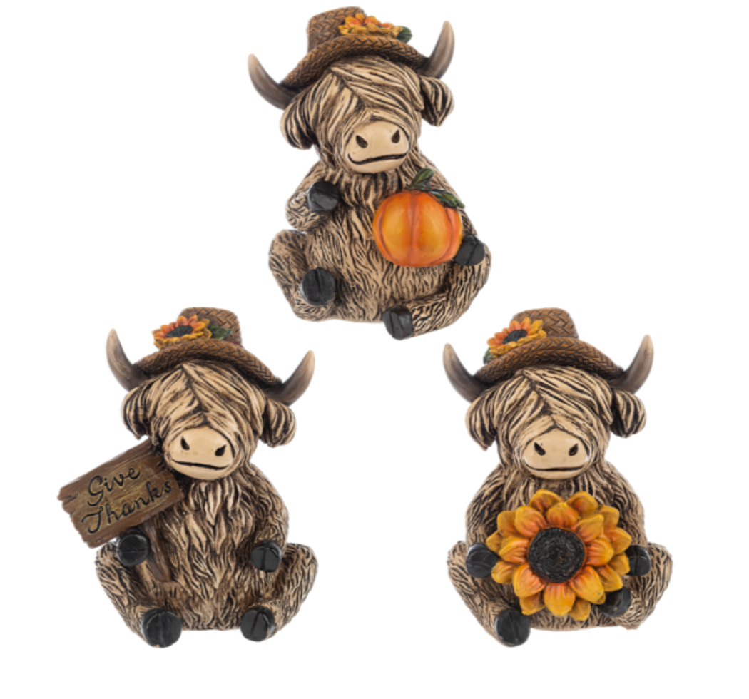 Fall Highland Cow ASST