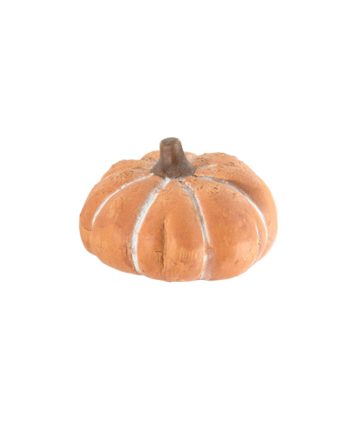 Chalky Orange Pumpkin SM