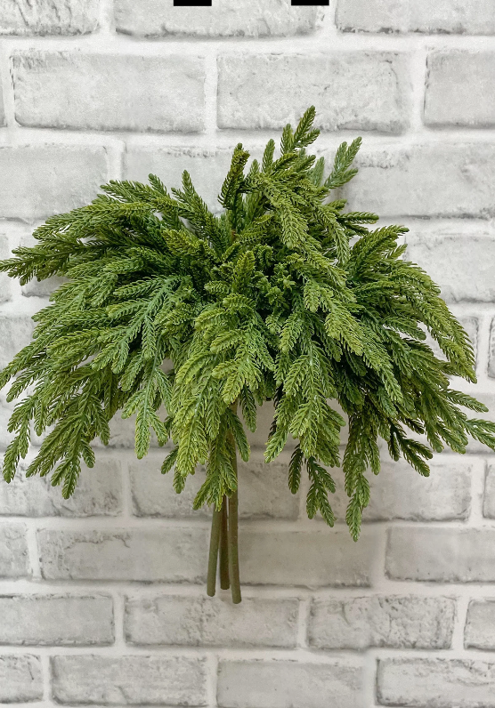 17" Fresh Touch Baby Norfolk Island Pine Bundle