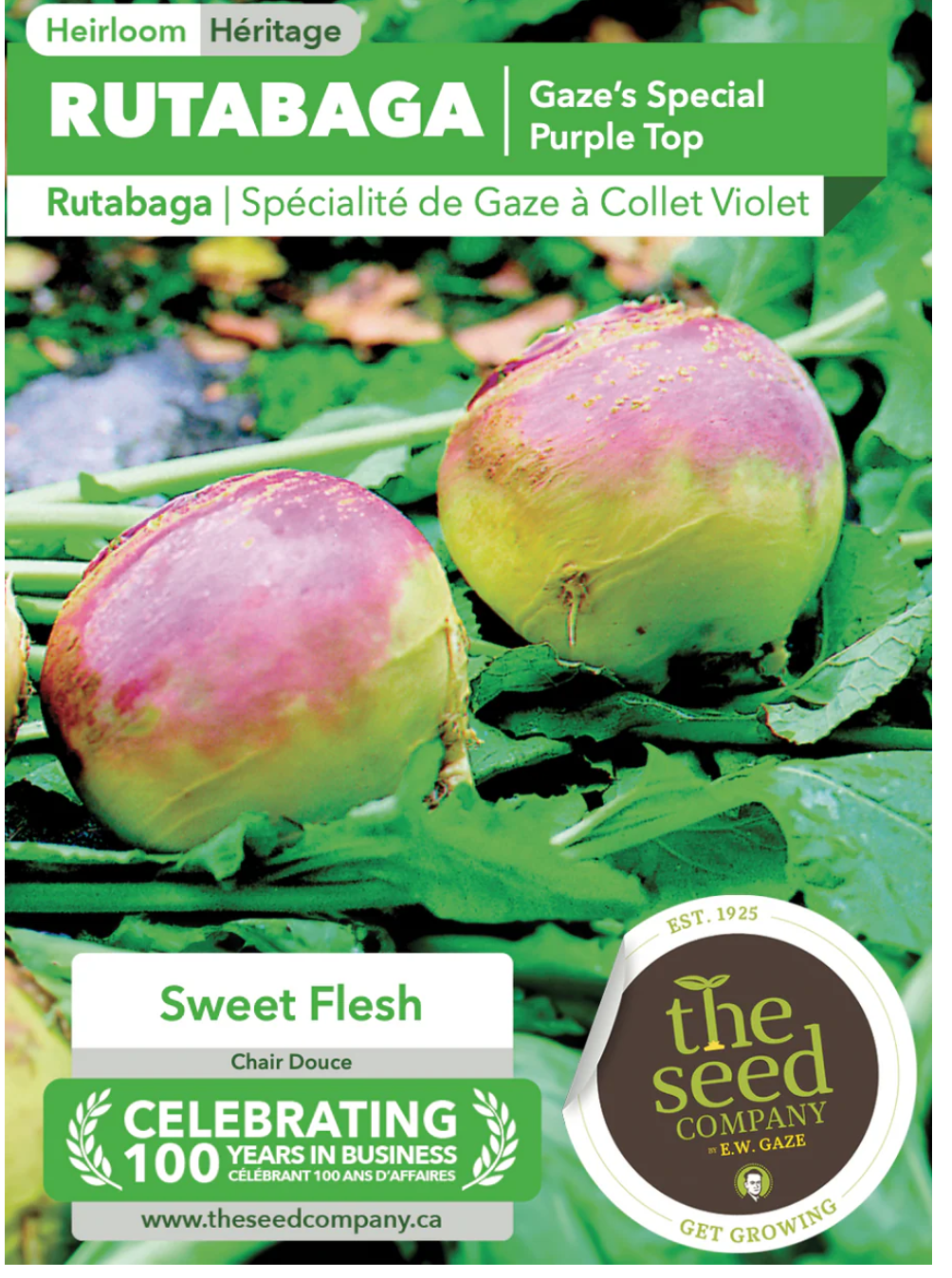 Gaze Best Selling Seeds