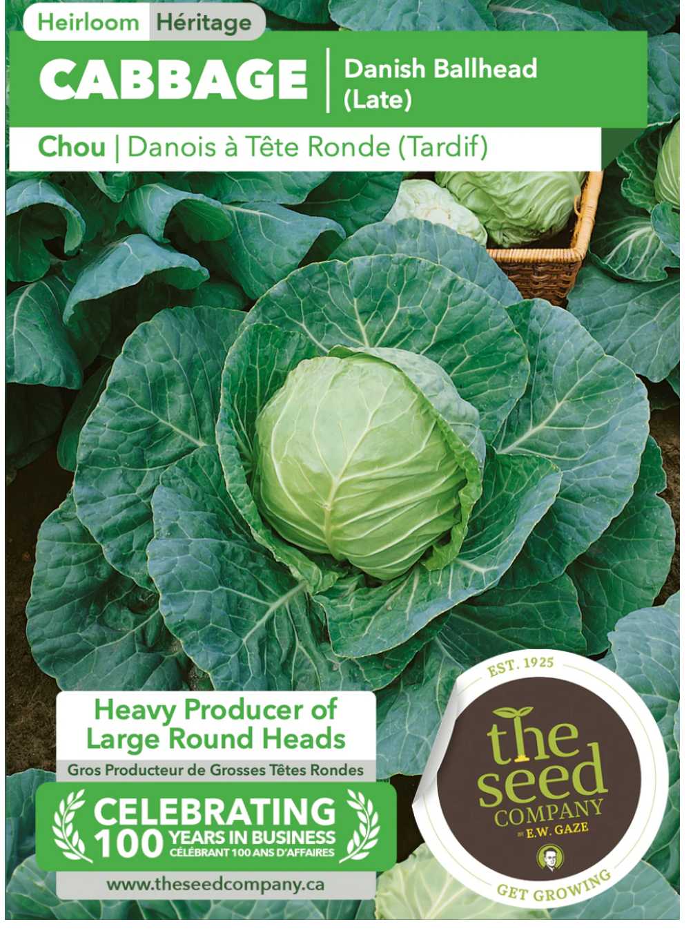 Gaze Best Selling Seeds