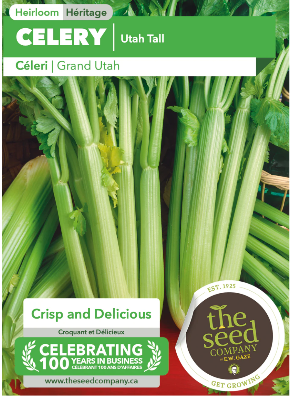 Gaze Best Selling Seeds