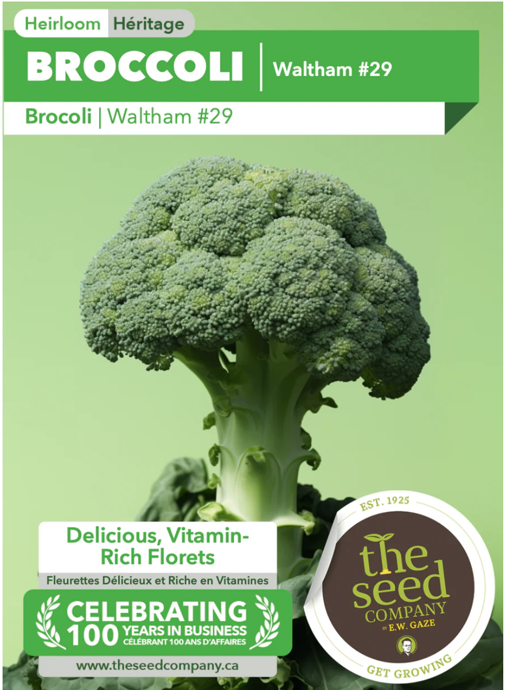 Gaze Best Selling Seeds
