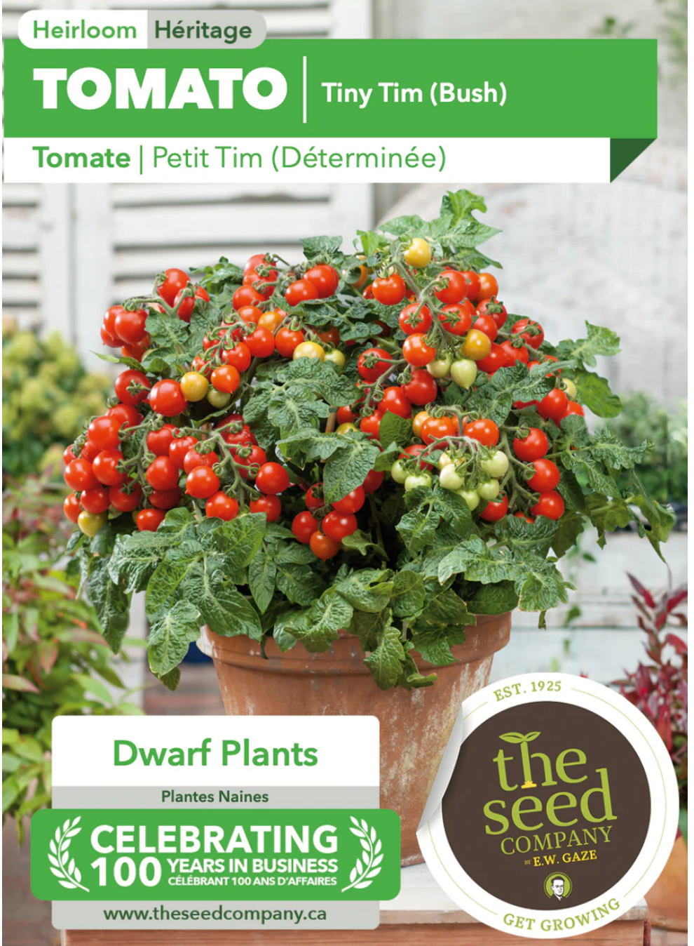 Gaze Best Selling Seeds