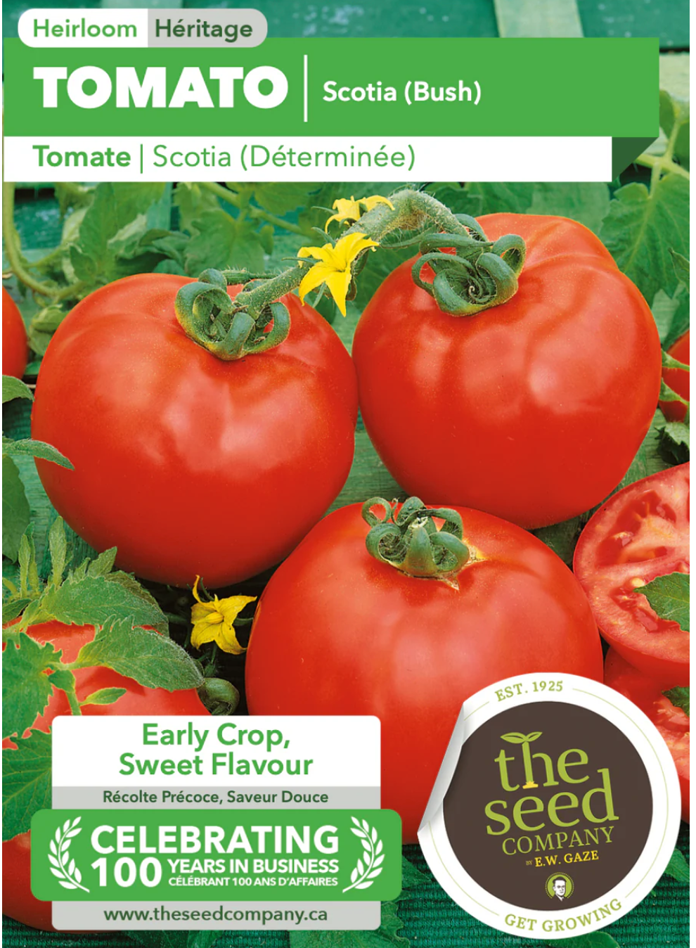 Gaze Best Selling Seeds