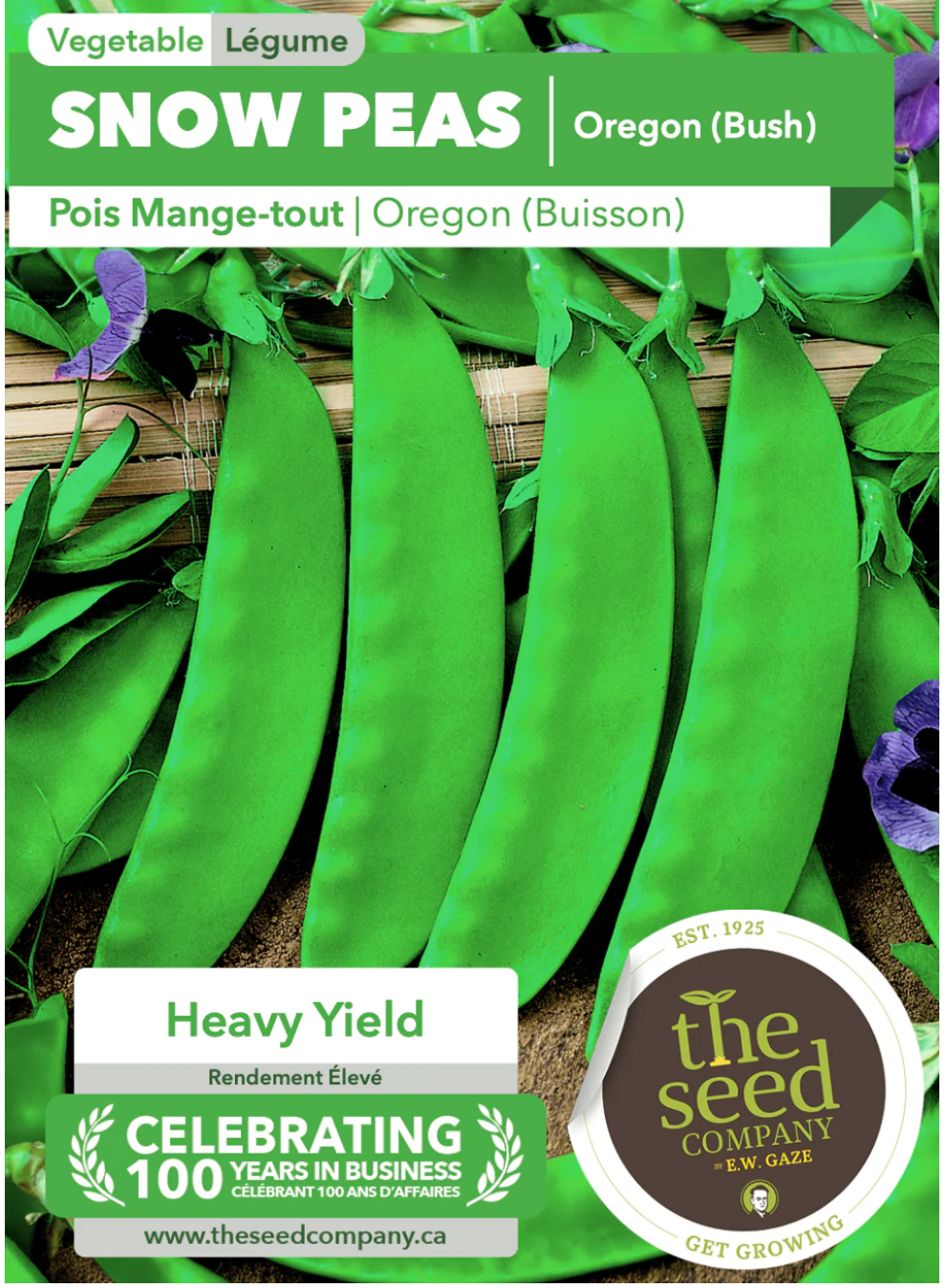 Gaze Best Selling Seeds