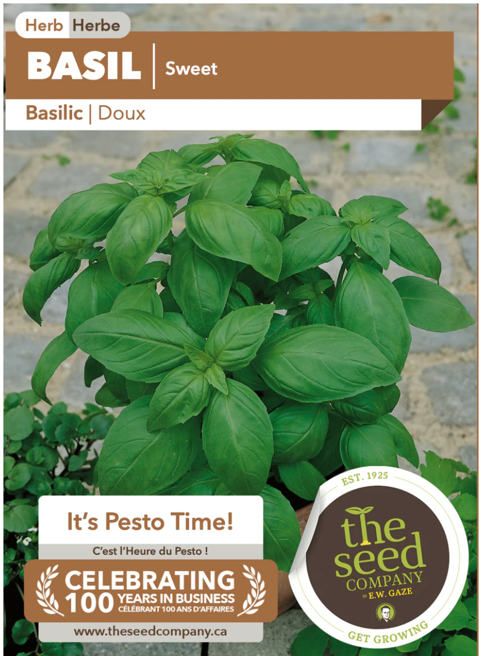 Gaze Best Selling Seeds