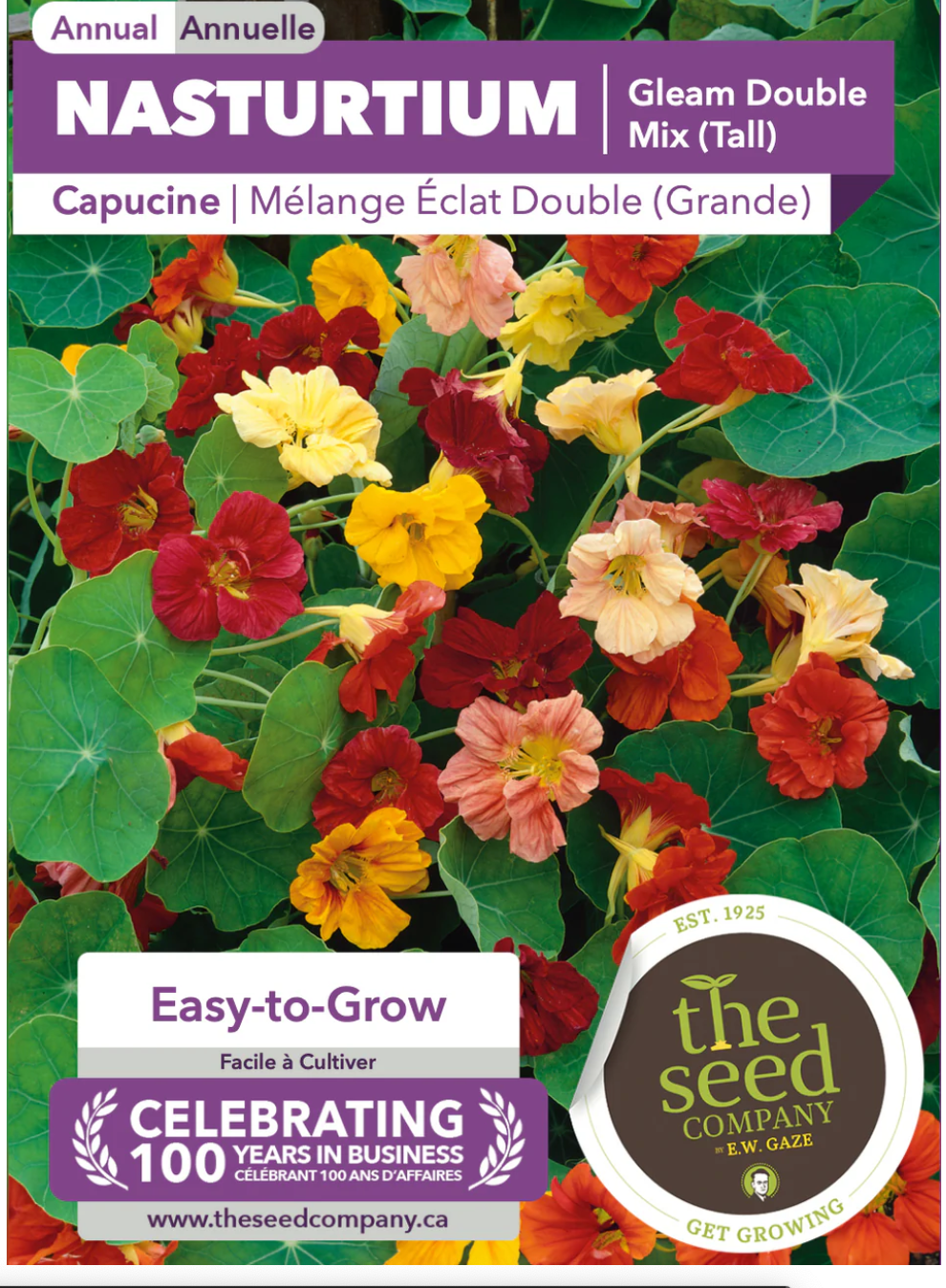 Gaze Best Selling Seeds