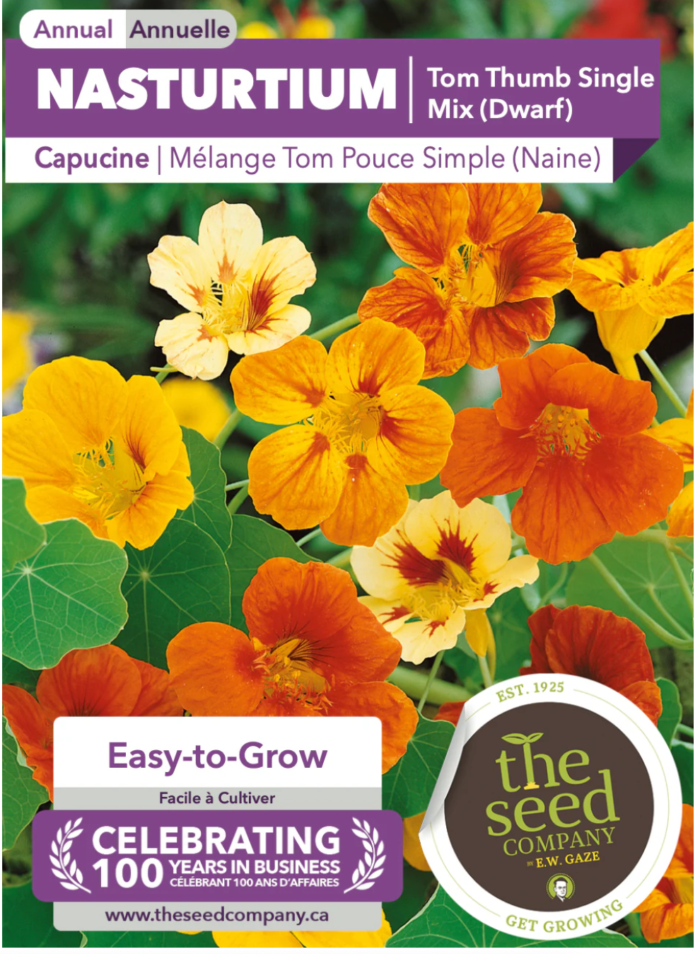 Gaze Best Selling Seeds