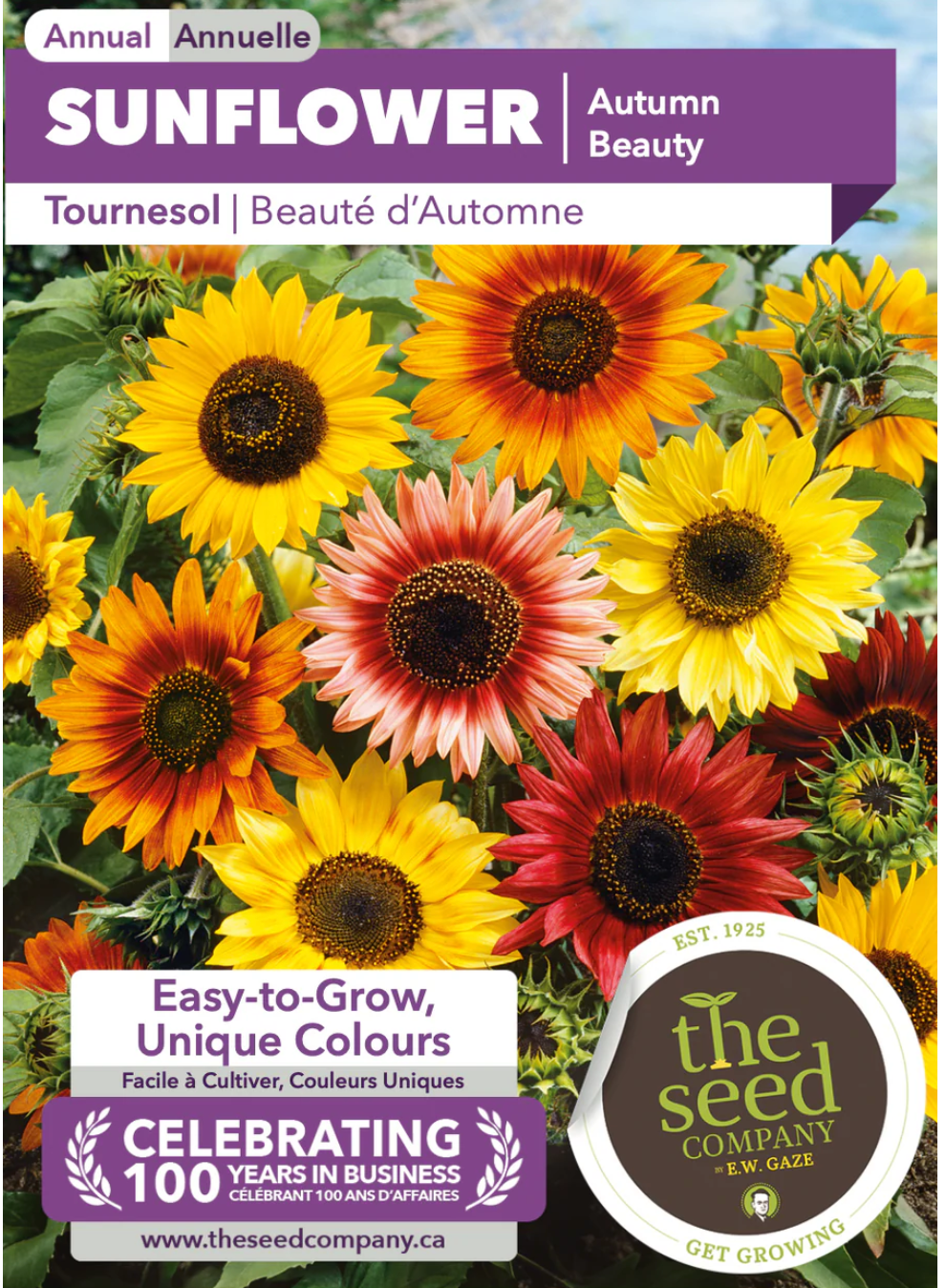 Gaze Best Selling Seeds