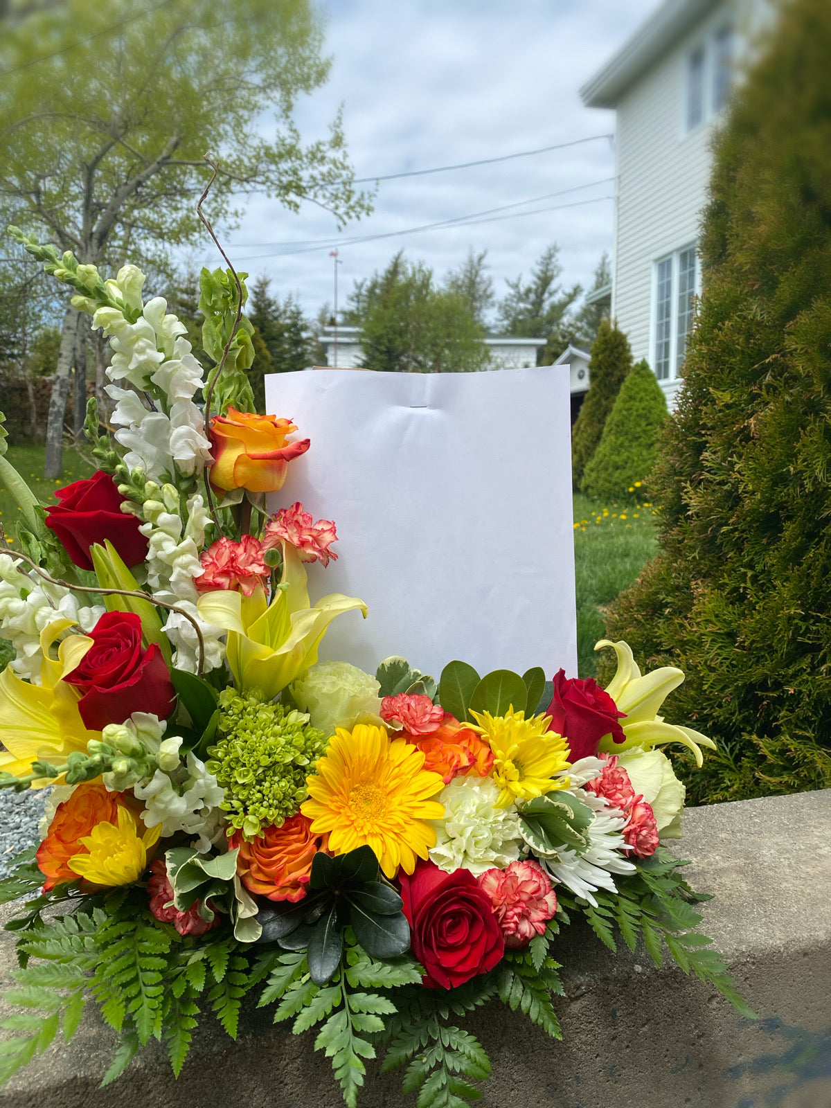 Photo Display Arrangement