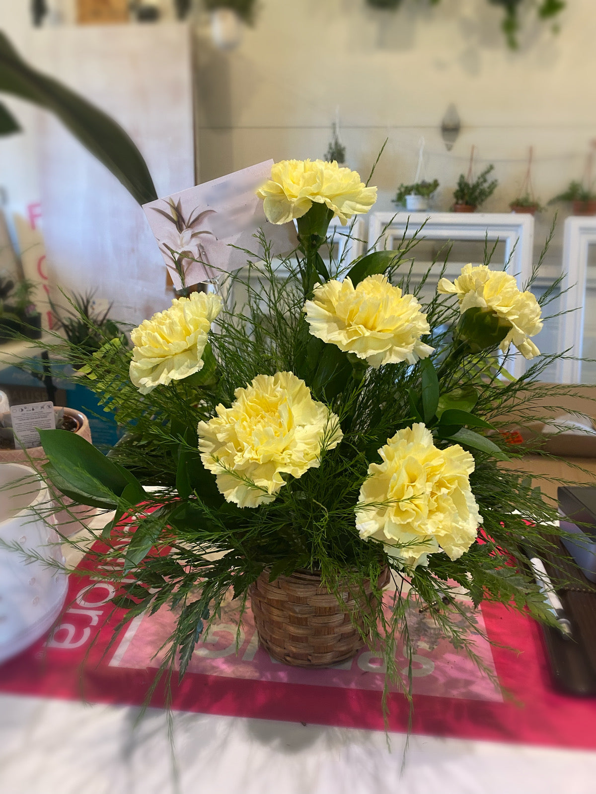 Half Dozen Carnation Basket