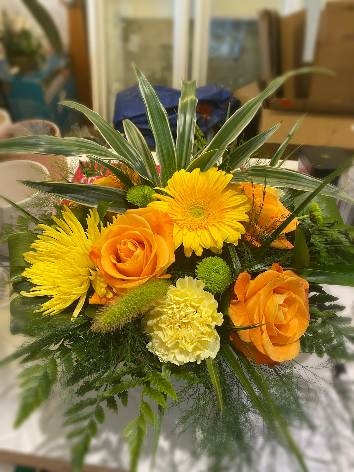 Sympathy Basket- With Houseplant