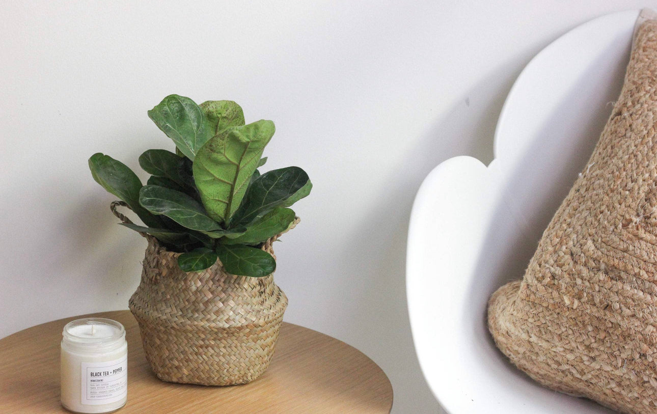 Seagrass Basket 6”