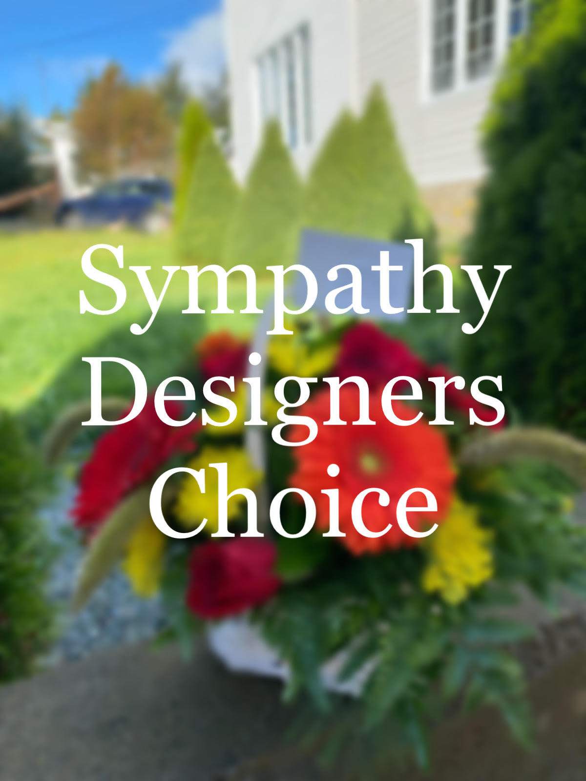 Sympathy Designers Choice