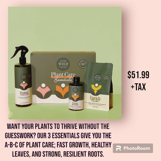 Plant Care Essentials Bundle