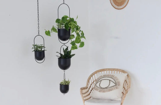 Hanging Black Planter