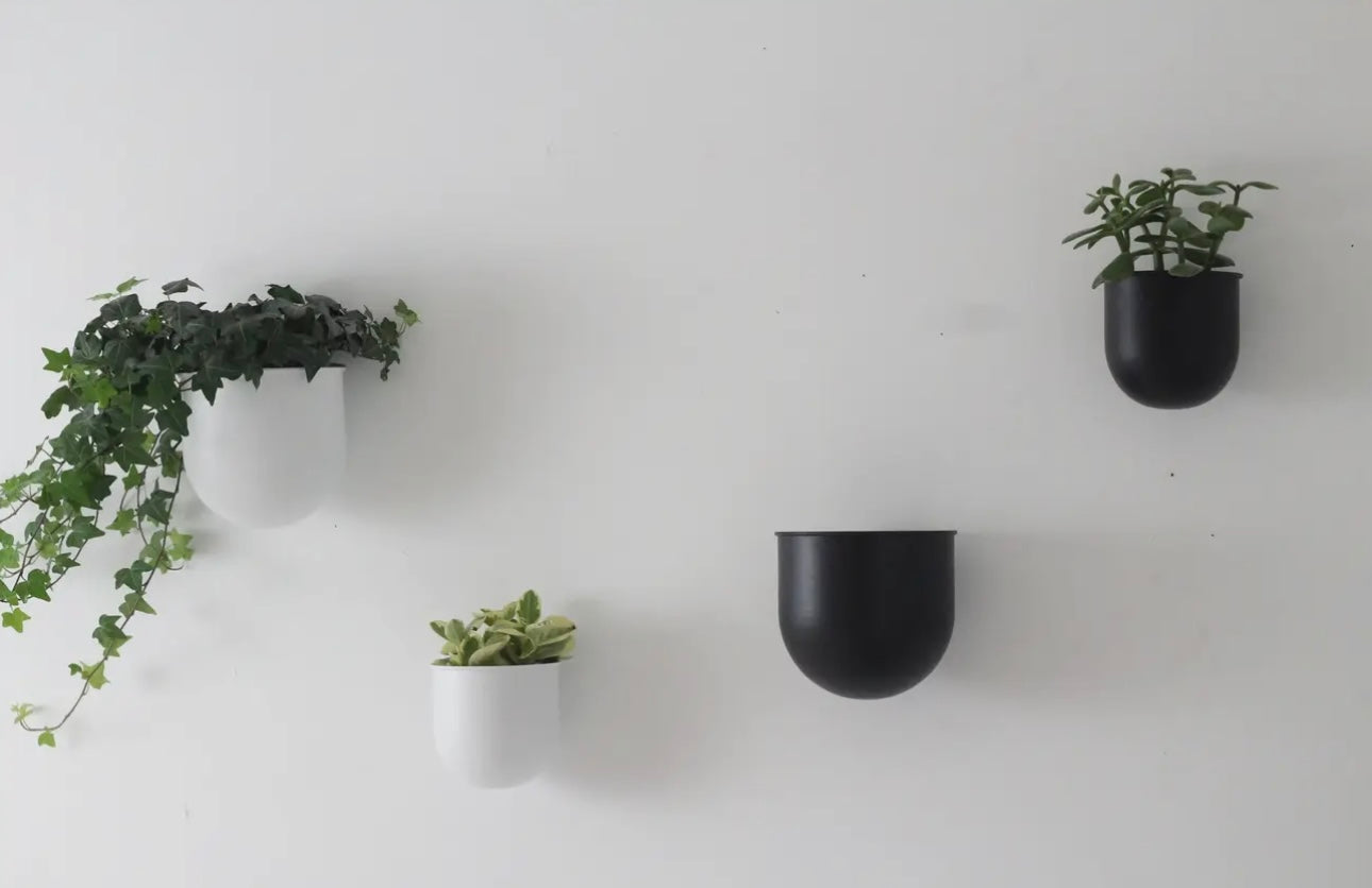 Metal Wall Planters