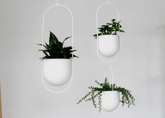 Hanging White Planter