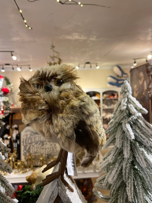 Standing Owl