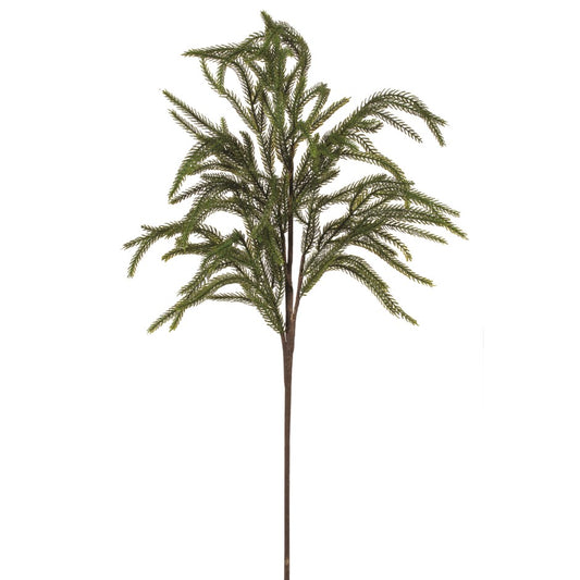 Norfolk Pine Pick
