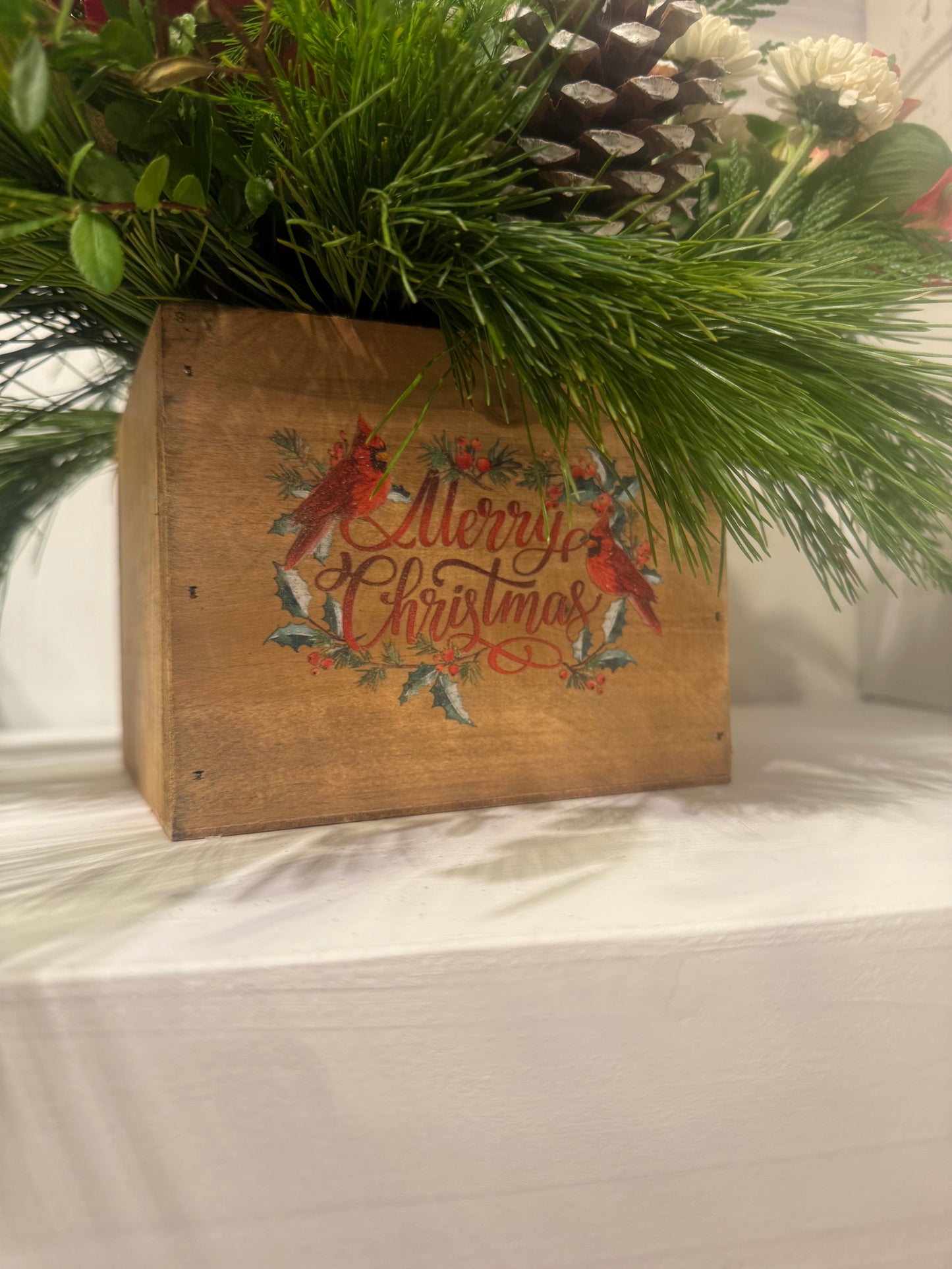 Cardinal Christmas