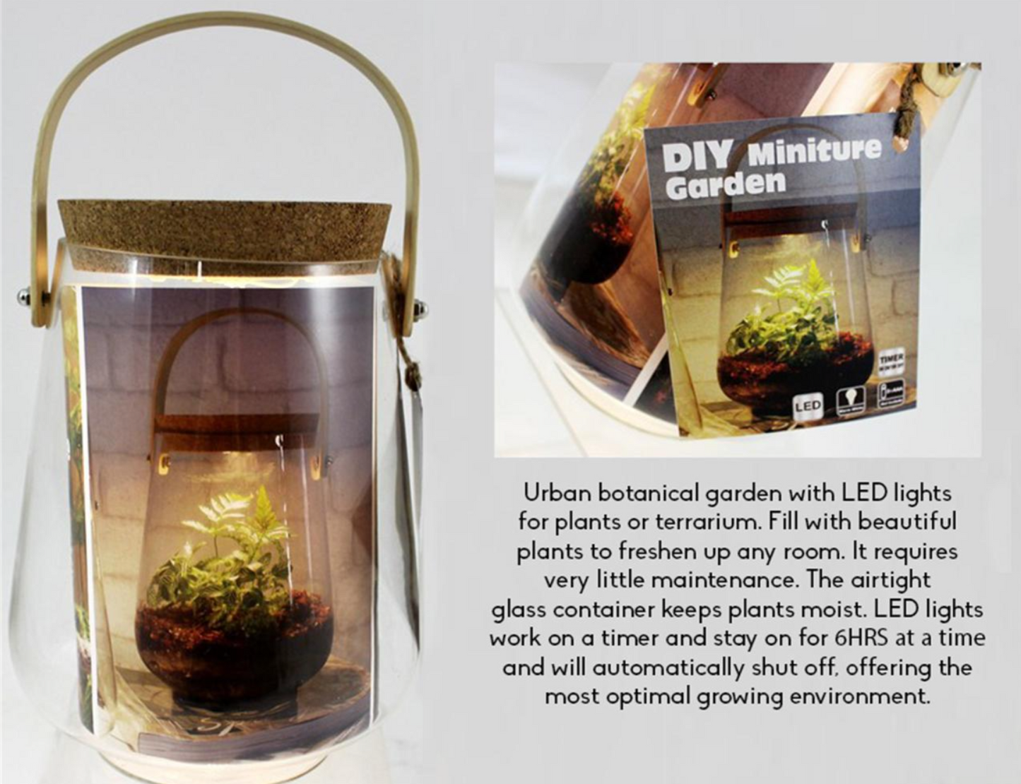 Mini Glass Terrarium Kit