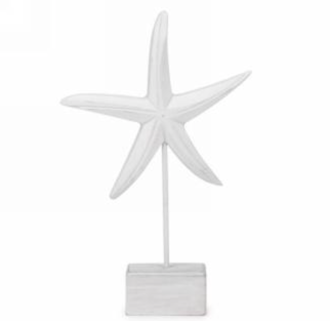 White Starfish On Stand