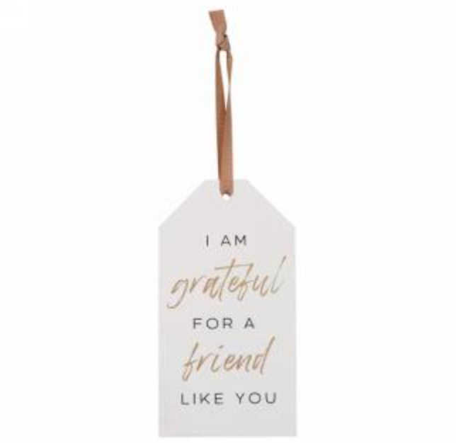 "A Friend Like You" Tag Ornament