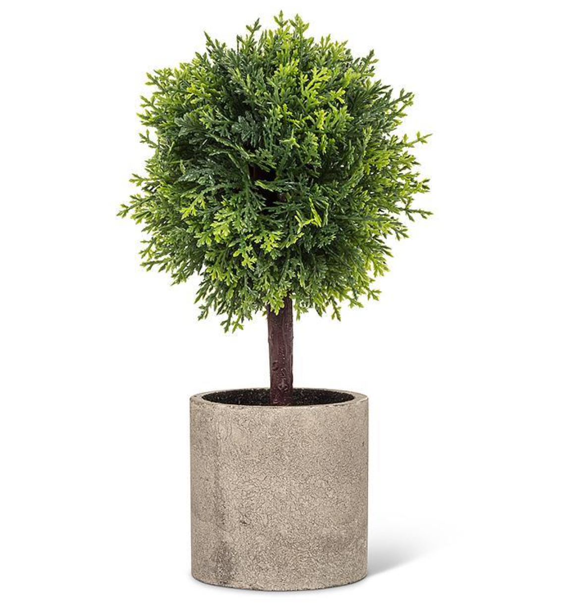 Green Conifer Topiary In Pot 9.5"H