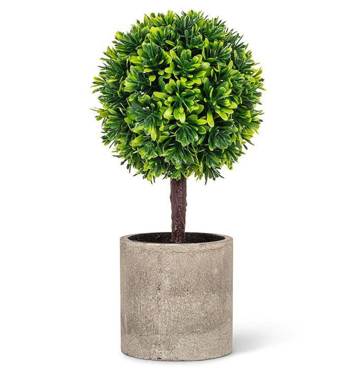 Green Boxwood Topiary In Pot 9.5"H