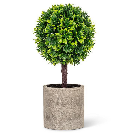 Green Boxwood Topiary In Pot 9.5"H