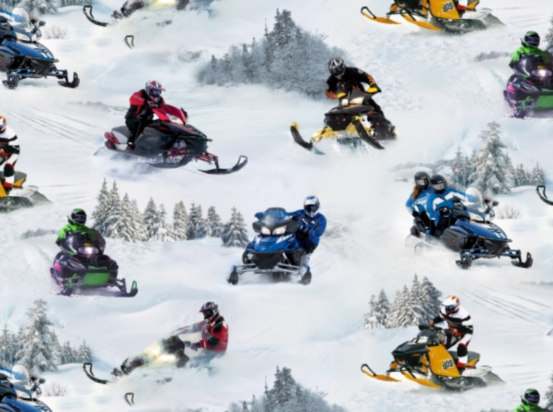 Snowmobiles In Motion