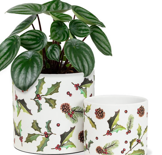 Holly, Pinecones & Berries Planter