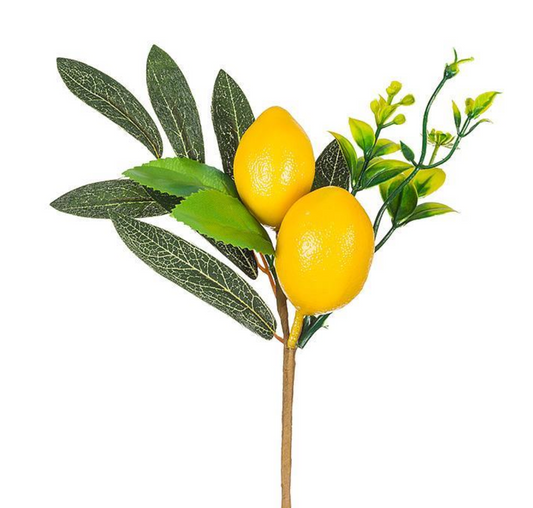 Lifelike Lemon Pick