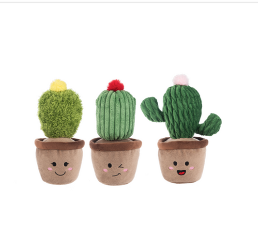 Whimsical Cactus