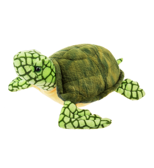 Sea Side Sea Turtle
