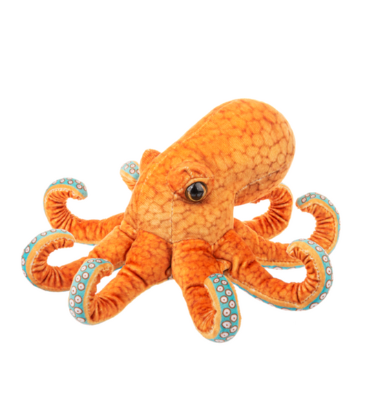 Sea Side Octopus