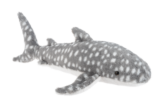 Sea Side Whale Shark