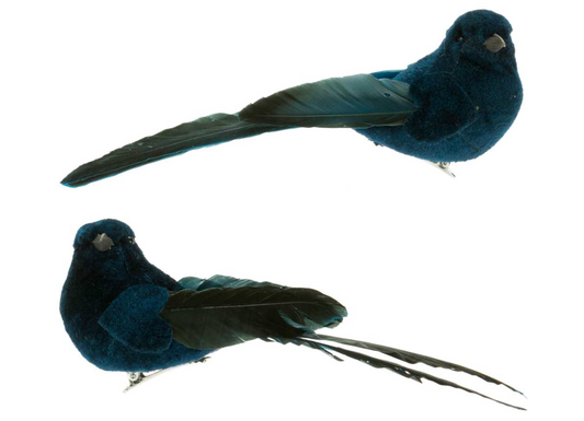 Blue Feather Bird Clip