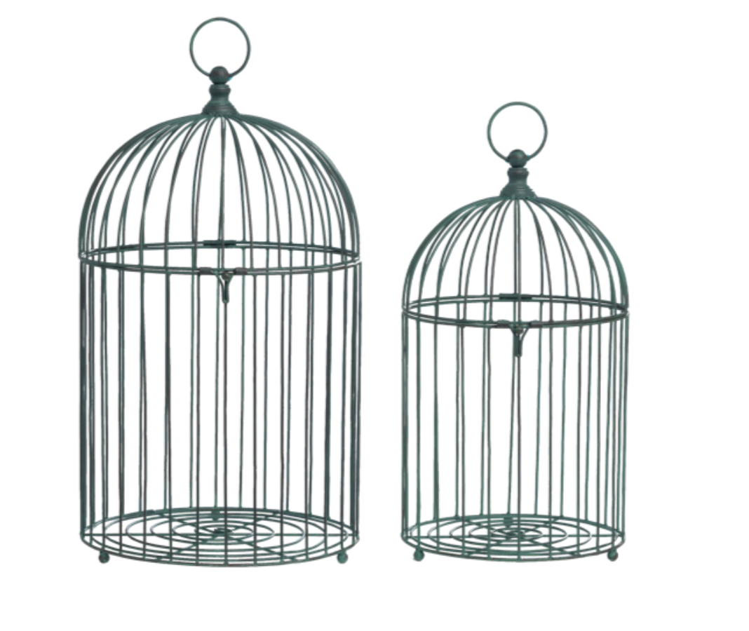 Green Bird Cage