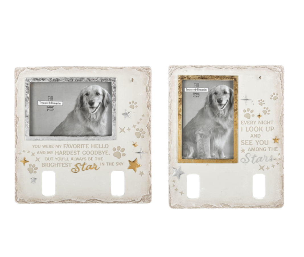 Brightest Star In The Sky Pet Memorial Frame